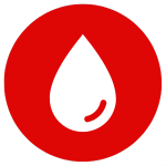 Odvoz a ekologická likvidace